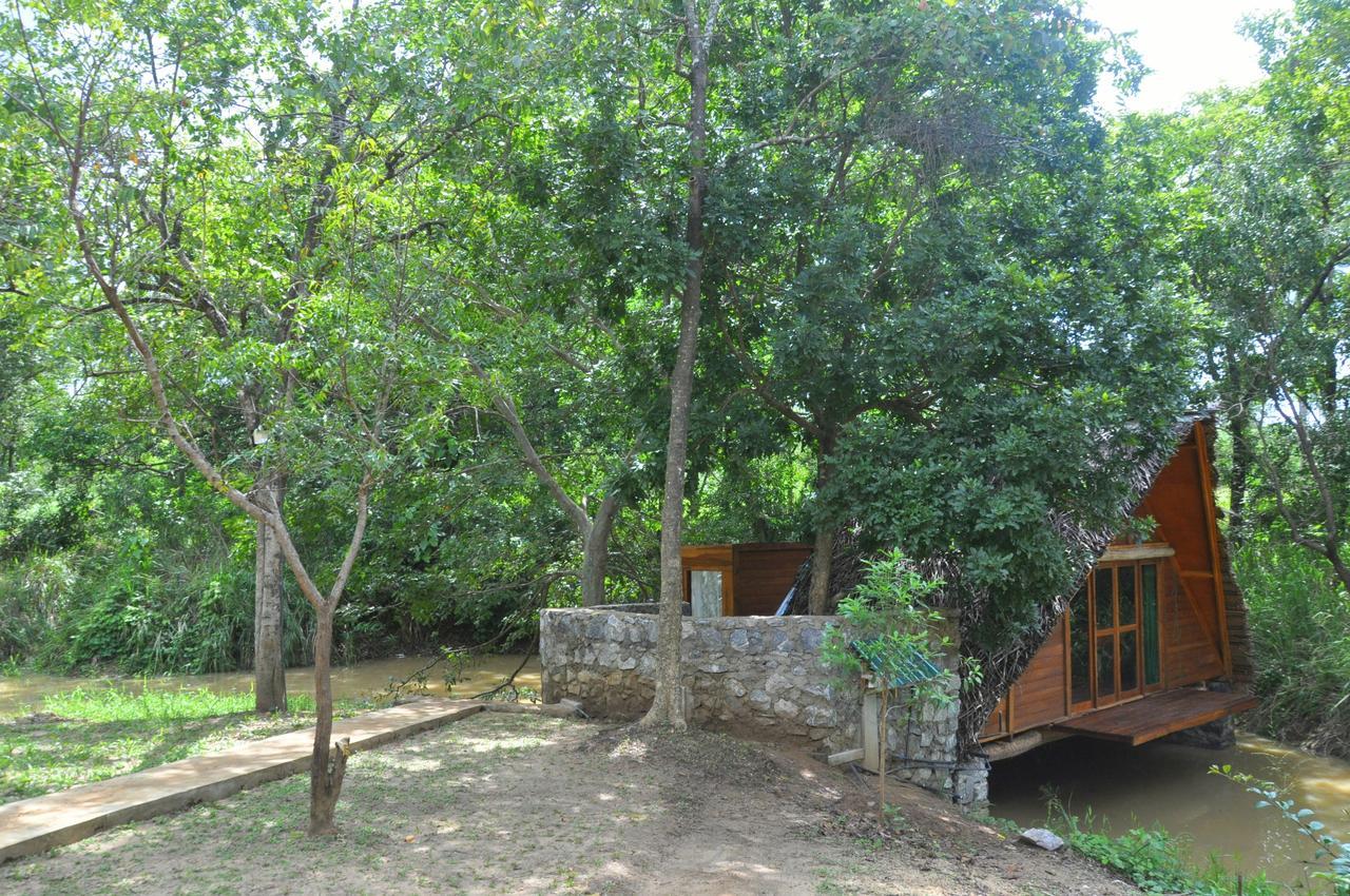 فيلا Raintree دامبولا المظهر الخارجي الصورة