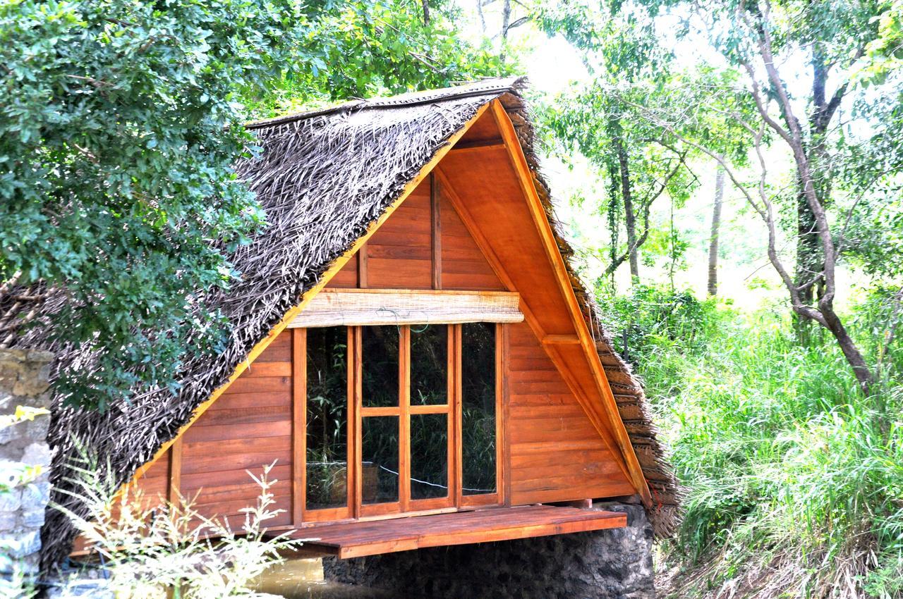 فيلا Raintree دامبولا المظهر الخارجي الصورة