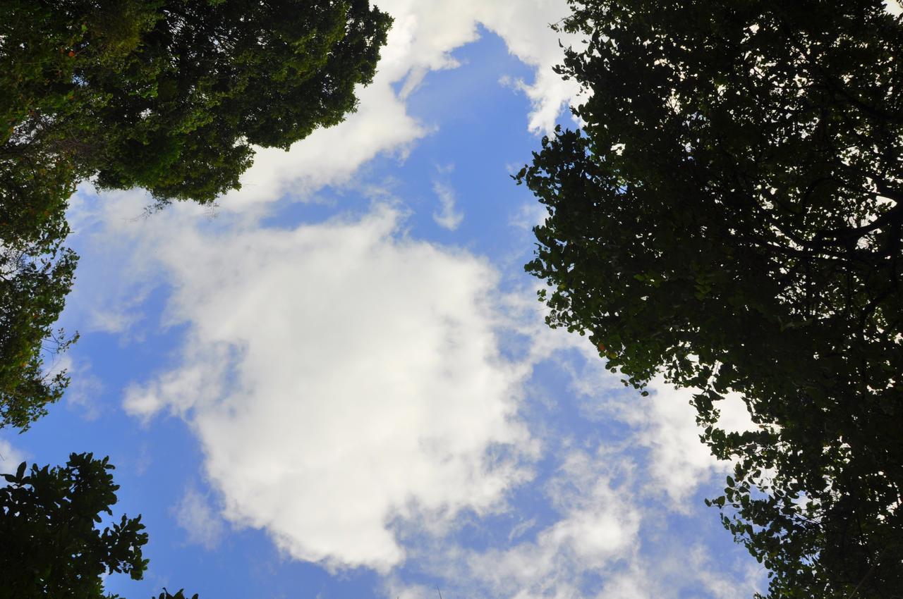 فيلا Raintree دامبولا المظهر الخارجي الصورة