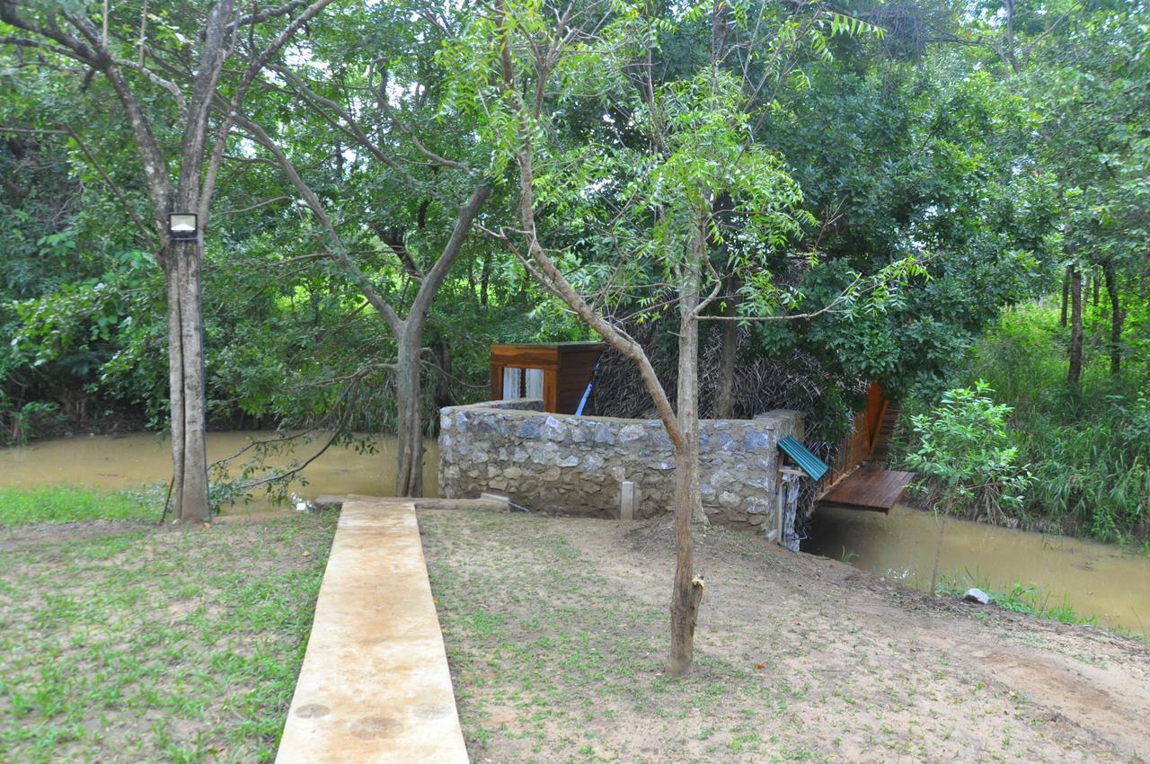 فيلا Raintree دامبولا المظهر الخارجي الصورة