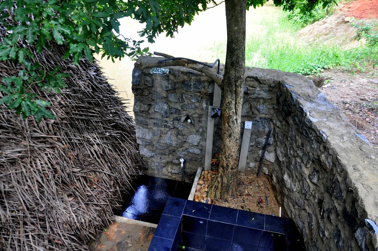 فيلا Raintree دامبولا المظهر الخارجي الصورة