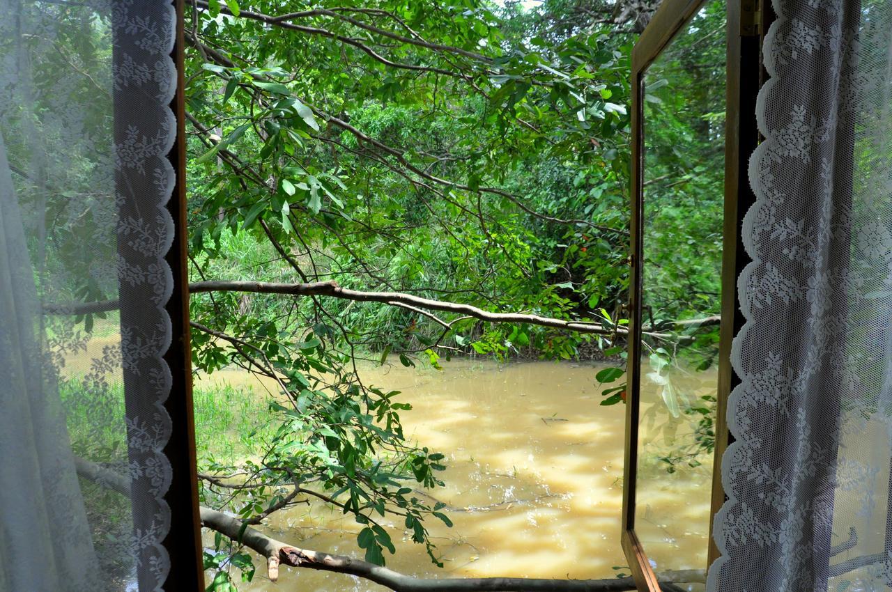 فيلا Raintree دامبولا المظهر الخارجي الصورة