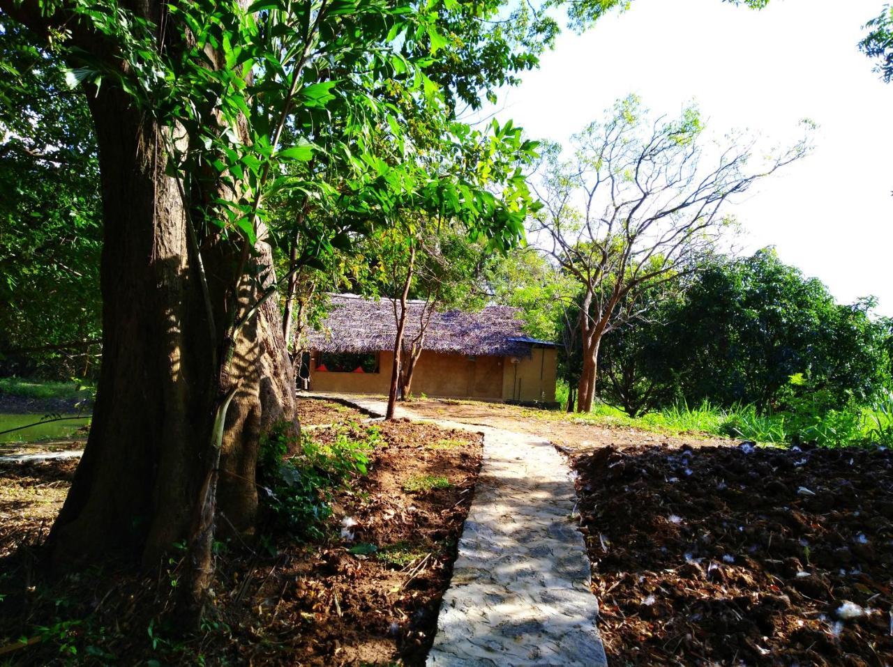 فيلا Raintree دامبولا المظهر الخارجي الصورة